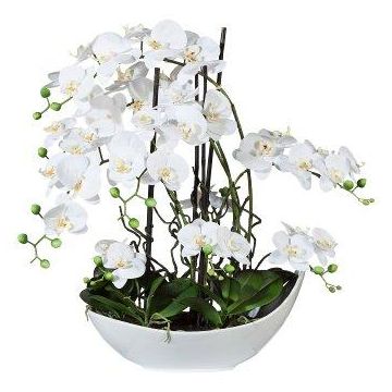 Konstgjord orkidé, korkskruvspal, blomsterarrangemang TANIN, keramikskål, rötter, vit, 70cm