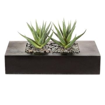 Konstgjord suckulent Aloe variegata FRONZ i trälåda, grön-vit, 24x11x14cm