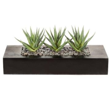 Konstgjord suckulent Aloe variegata FRONZ i trälåda, grön-vit, 36x15,5x16cm