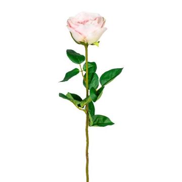 Dekorativ ros NORLAN, rosa, 70cm, Ø8cm