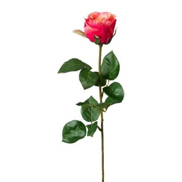 Dekorativ ros NORLAN, cerise-persik, 70cm, Ø8cm