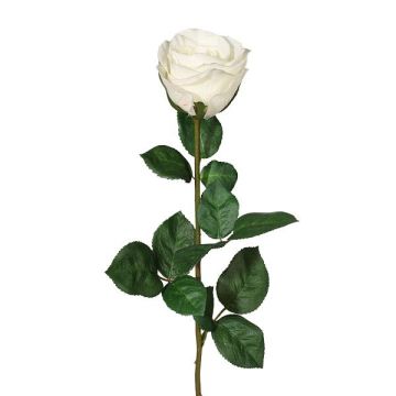 Dekorationsblomma Rose NORLAN, vit, 70cm, Ø8cm Dekorationsblomma Rose NORLAN, vit, 70cm, Ø8cm