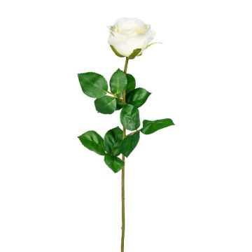 Dekorationsblomma Rose NORLAN, krämfärgad, 70cm, Ø8cm