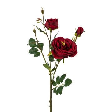 Konstgjord rosgren FRALGO, röd, 60cm, Ø3-10cm Konstgjord rosgren FRALGO, röd, 60cm, Ø3-10cm