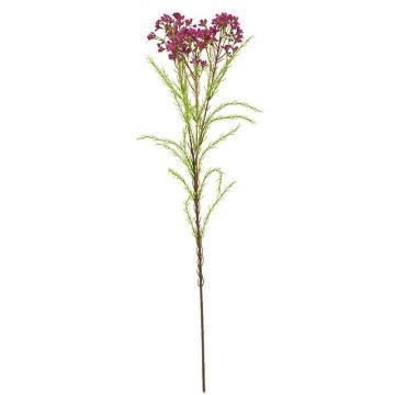 Konstgjord kvist med vaxblomma MEDEA, fuchsia, 80cm, Ø6cm Konstgjord kvist med vaxblomma MEDEA, fuchsia, 80cm, Ø6cm