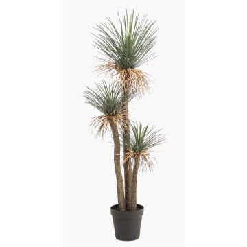 Konstgjord Yucca rostrata DENALI i dekorativ kruka, 180cm