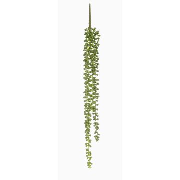 Konstgjord ärtväxt Senecio hängande PURUS, stödpinne, grön, 60cm