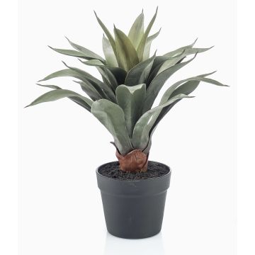 Konstgjord suckulent drakträd-agave RUPUN i dekorativ kruka, grön, 45cm