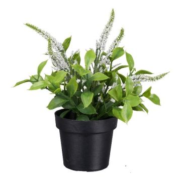Konstblomma veronika GRINTOL i dekorativ kruka, vit, 18cm Konstblomma veronika GRINTOL i dekorativ kruka, vit, 18cm