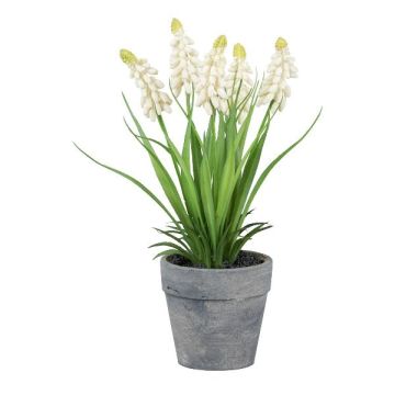 Konstblomma, druvhyacint ZORKLEM i dekorativ kruka, vit, 22cm