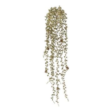 Dekorativ hängare av ceder DRIPU, stickpinne, kottar, guld, 90cm Dekorativ hängare av ceder DRIPU, stickpinne, kottar, guld, 90cm