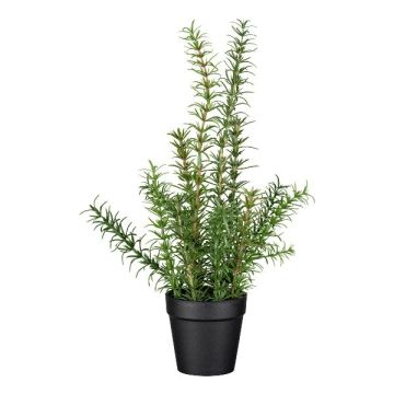 Konstgjord rosmarin VENTALI i dekorativ kruka, grön, 40cm Konstgjord rosmarin VENTALI i dekorativ kruka, grön, 40cm