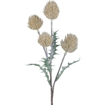 Dekorativ kvist, edeldistel KRILMO, vanilj, 40cm Dekorativ kvist, edeldistel KRILMO, vanilj, 40cm