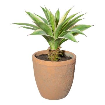 Konstgjord suckulent Agave americana GRUFT i terrakottakruka, grön-krämfärgad, 35cm