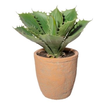 Dekorativ suckulent Agave pygmaea BUKEF i dekorativ kruka, grön, 25cm
