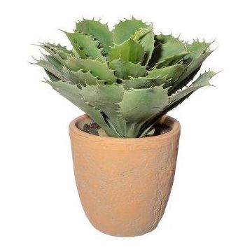 Dekorativ suckulent Agave pygmaea BUKEF i dekorativ kruka, grön, 30cm