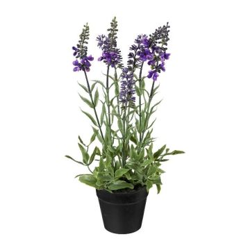 Dekorativ blomma lavendel KENSY i dekorativ kruka, violett, 30cm Dekorativ blomma lavendel KENSY i dekorativ kruka, violett, 30cm