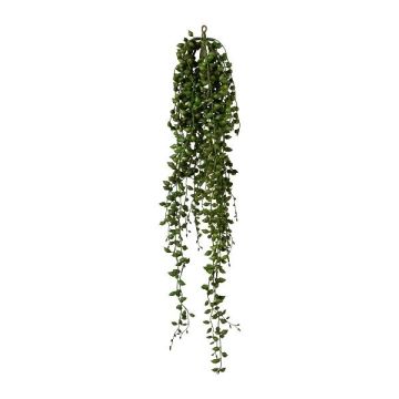Konstgjord suckulent Senecio FLINKO, hängande, grön, 90cm
