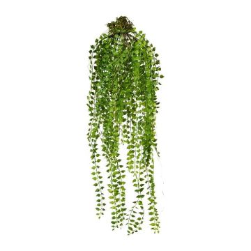 Konstgjord hängväxt Columnea GRAHIN, jordklump, grön, 70cm