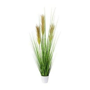 Konstgräs pampasgräs FONZA i dekorativ kruka, ax, brun-gult, 80cm Konstgräs pampasgräs FONZA i dekorativ kruka, ax, brun-gult, 80cm