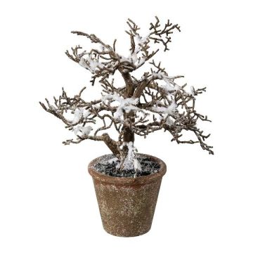 Konstgjord bok BONKA, lövlös, snötäckt, dekorativ kruka, vit-brun, 24cm