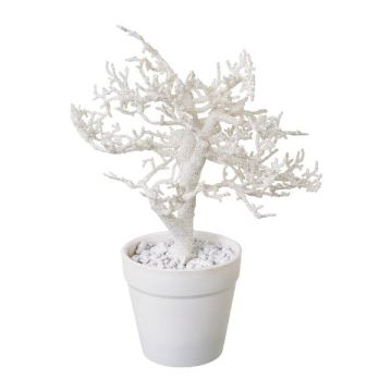 Konstgjord bok BONKA, lövlös, dekorativ kruka, vit, 24cm