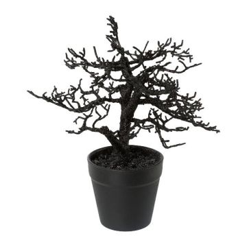 Konstgjord bokträd BONKA, lövlös, dekorativ kruka, svart, 24cm
