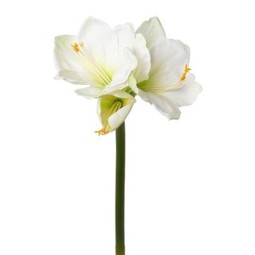 Dekorationsblomma Amaryllis BELAV, vit-grön, 70cm, Ø5-13cm Dekorationsblomma Amaryllis BELAV, vit-grön, 70cm, Ø5-13cm