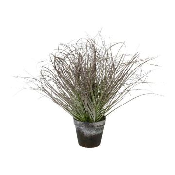 Konstgräs pennisetum PONZA i dekorativ kruka, fryst, vit-grön, 45cm Konstgräs pennisetum PONZA i dekorativ kruka, fryst, vit-grön, 45cm