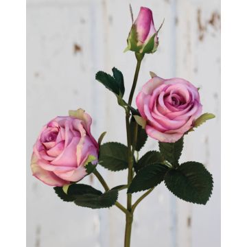 Konstgjord rosgren DELILAH, rosa, 55cm, Ø6cm Konstgjord rosgren DELILAH, rosa, 55cm, Ø6cm