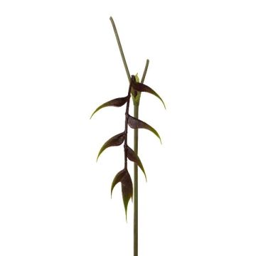 Konstblomma Helikonium MENJU, vinröd, 55cm Konstblomma Helikonium MENJU, vinröd, 55cm