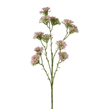 Dekorativ kvist av rölleka GRUNTO, rosa, 65cm Dekorativ kvist av rölleka GRUNTO, rosa, 65cm