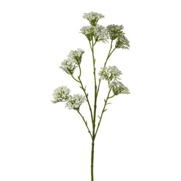 Dekorativ kvist av rölleka GRUNTO, vit, 65cm Dekorativ kvist av rölleka GRUNTO, vit, 65cm