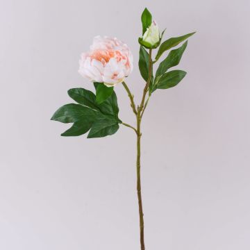 Konstgjord pion FYRFAR, öppen, ljusrosa, 60cm Konstgjord pion FYRFAR, öppen, ljusrosa, 60cm
