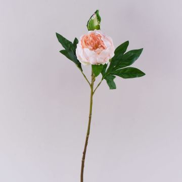 Konstgjord pion FYRFAR, halvöppen, ljusrosa, 60cm Konstgjord pion FYRFAR, halvöppen, ljusrosa, 60cm
