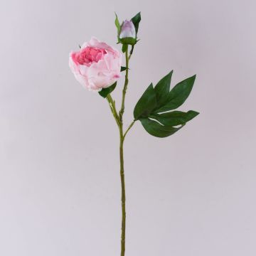 Konstgjord pion FYRFAR, halvöppen, rosa, 60cm Konstgjord pion FYRFAR, halvöppen, rosa, 60cm