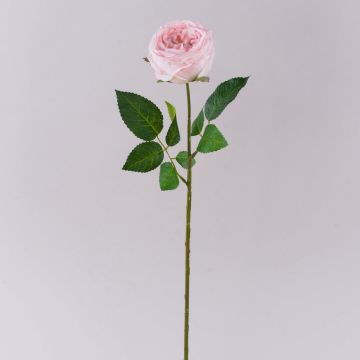 Konstgjord kålros MARNUK, ljusrosa, 60cm, Ø9cm Konstgjord kålros MARNUK, ljusrosa, 60cm, Ø9cm