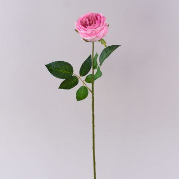 Konstgjord kålros MARNUK, rosa, 60cm, Ø9cm Konstgjord kålros MARNUK, rosa, 60cm, Ø9cm