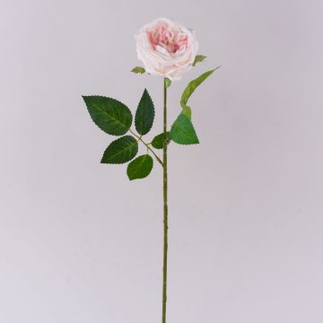 Konstgjord kålros MARNUK, krämrosa, 60cm, Ø9cm Konstgjord kålros MARNUK, krämrosa, 60cm, Ø9cm