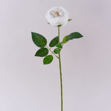 Konstgjord kålros MARNUK, krämvit, 60cm, Ø9cm Konstgjord kålros MARNUK, krämvit, 60cm, Ø9cm