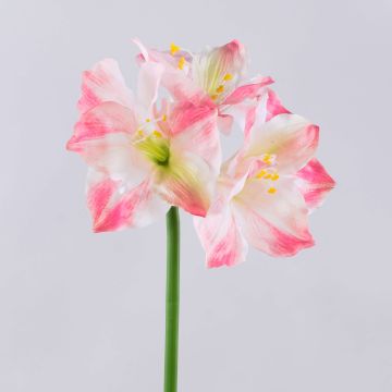 Konstgjord amaryllis SARNUK, vit-rosa, 80cm Konstgjord amaryllis SARNUK, vit-rosa, 80cm