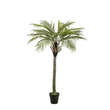 Konstgjord kokospalm BOLON, 180cm Konstgjord kokospalm BOLON, 180cm