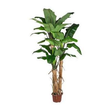 Konstgjord palm, bananväxt ULISES, 280cm Konstgjord palm, bananväxt ULISES, 280cm