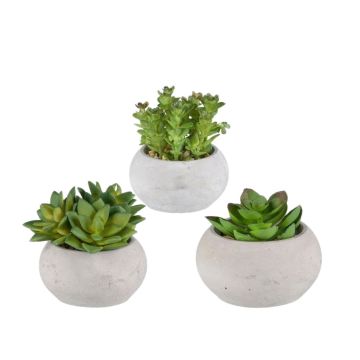 Konstgjord suckulentarrangemang ZIFER i cementkruka, 3 st, grön, 8-10cm Konstgjord suckulentarrangemang ZIFER i cementkruka, 3 st, grön, 8-10cm