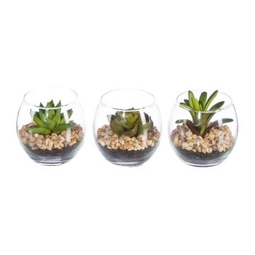 Konstgjorda suckulenter, arrangemang WINKS i glas, 3 st, gröna, 7cm, Ø7,5cm Konstgjorda suckulenter, arrangemang WINKS i glas, 3 st, gröna, 7cm, Ø7,5cm
