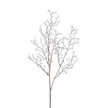 Dekorativ gren, korall ZORVEK, frusen, vitbrun, 70cm Dekorativ gren, korall ZORVEK, frusen, vitbrun, 70cm