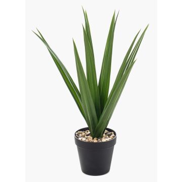 Konstgjord yuccapalm BAKVER, dekorativ kruka, crossdoor, 50cm