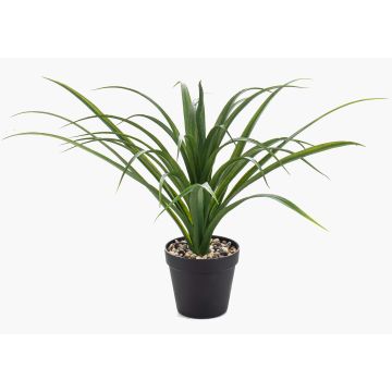 Konstgjord palm Yucca rostrata POLLYANNA, dekorativ kruka, crossdoor, 35cm
