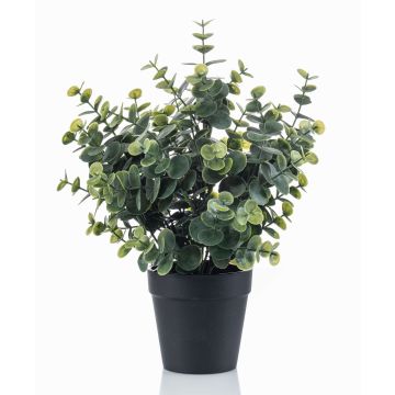 Konstgjord eukalyptus GLIWEN i dekorativ kruka, grågrön, 30cm