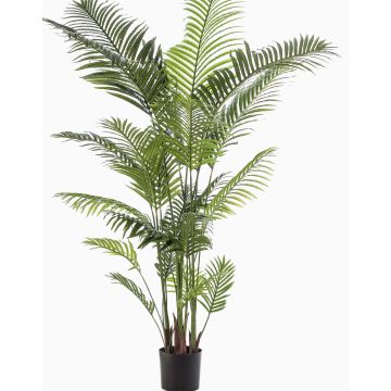 Konstgjord guldfruktpalm TAWAN, 200cm Konstgjord guldfruktpalm TAWAN, 200cm